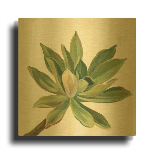'Front Yard Succulent I' By Silvia Vassileva Gold Metal Wall Art