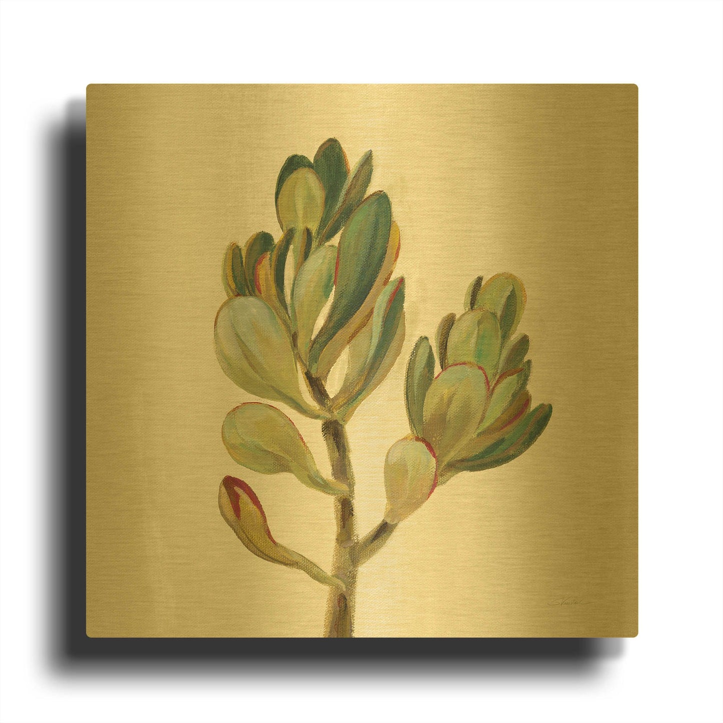 'Front Yard Succulent II' By Silvia Vassileva Gold Metal Wall Art