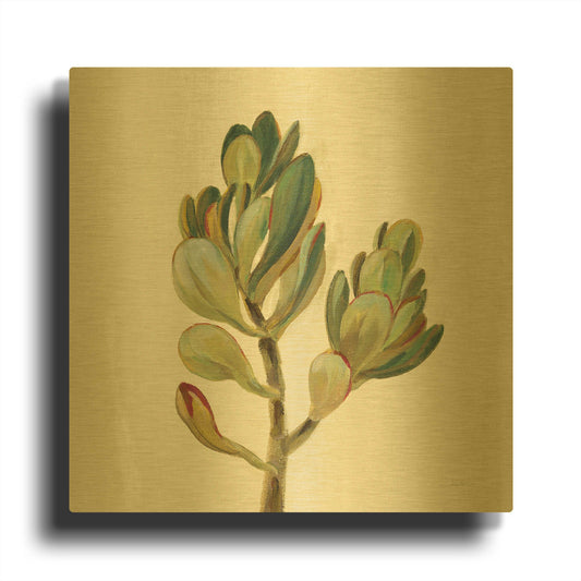 'Front Yard Succulent II' By Silvia Vassileva Gold Metal Wall Art