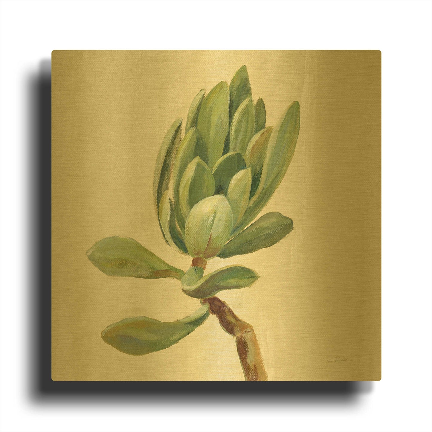 'Front Yard Succulent III' By Silvia Vassileva Gold Metal Wall Art