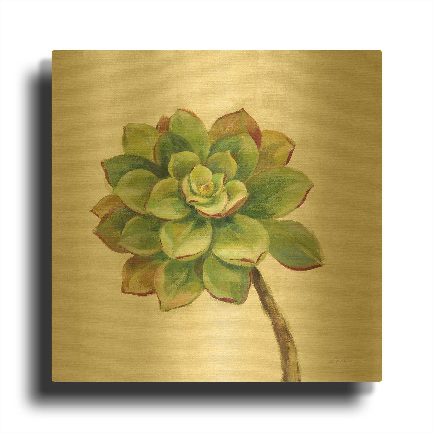 'Front Yard Succulent IV' By Silvia Vassileva Gold Metal Wall Art