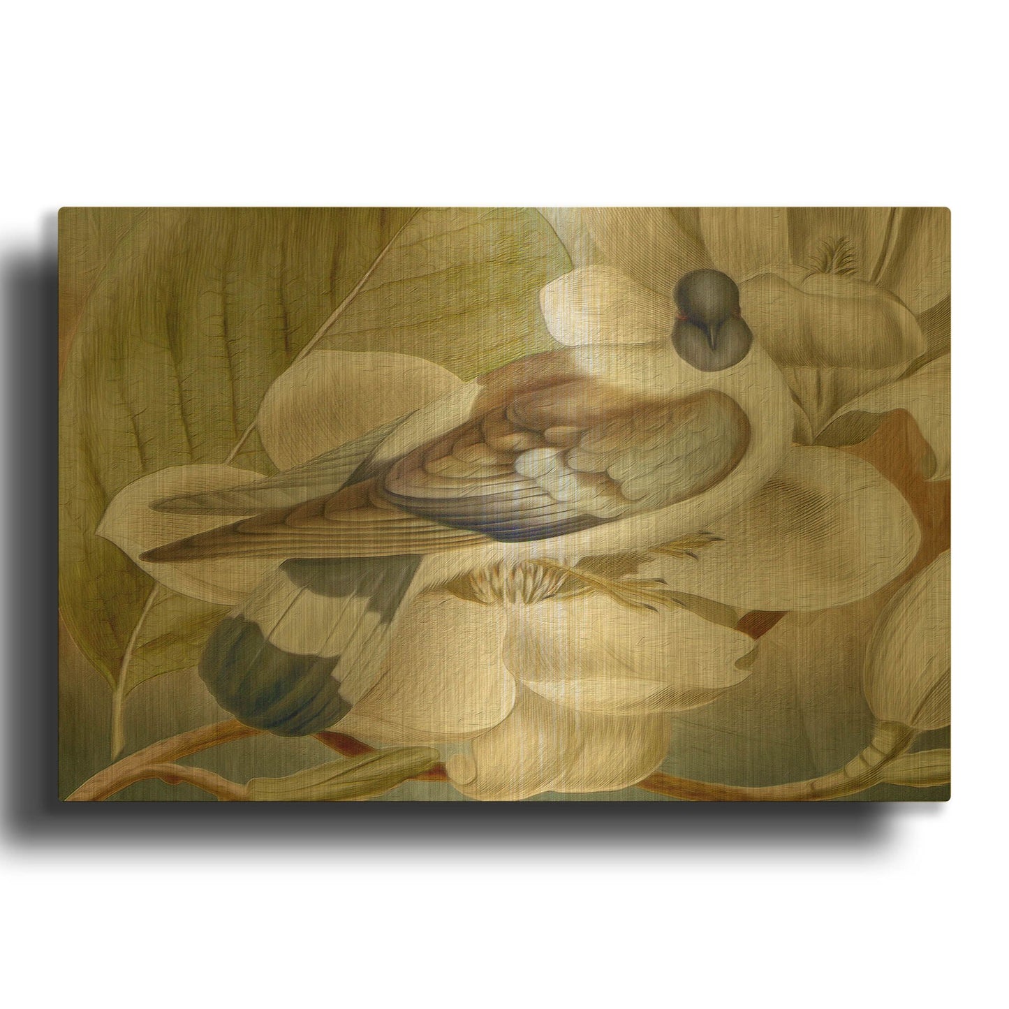 'Painted Plumage One' By Steve Hunziker OOB Gold Metal Wall Art