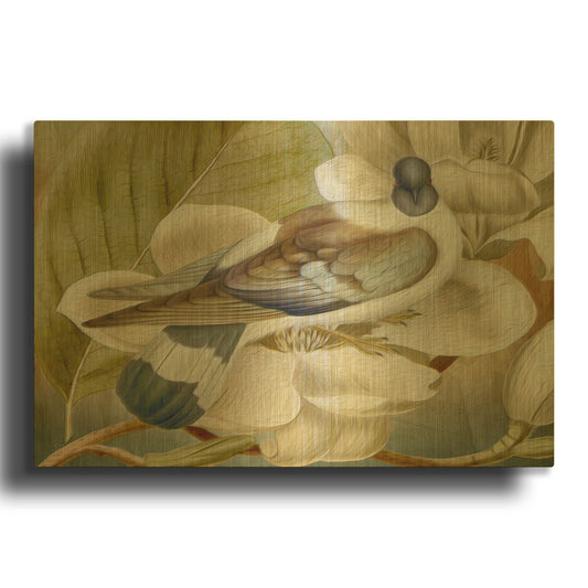 'Painted Plumage One' By Steve Hunziker OOB Gold Metal Wall Art