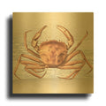 'Sandcritter 1' By Karen Smith Gold Metal Wall Art