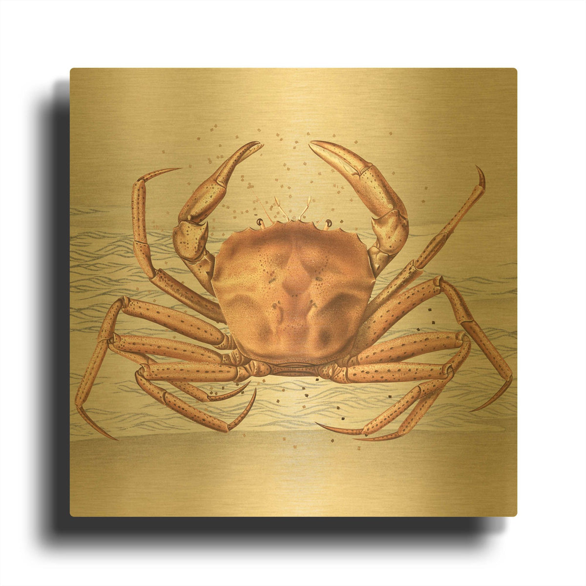 'Sandcritter 1' By Karen Smith Gold Metal Wall Art