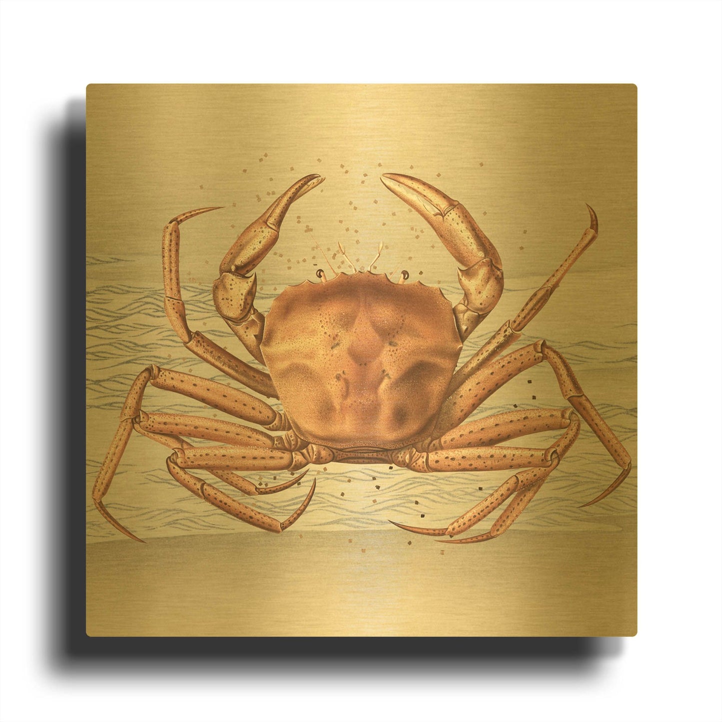 'Sandcritter 1' By Karen Smith Gold Metal Wall Art
