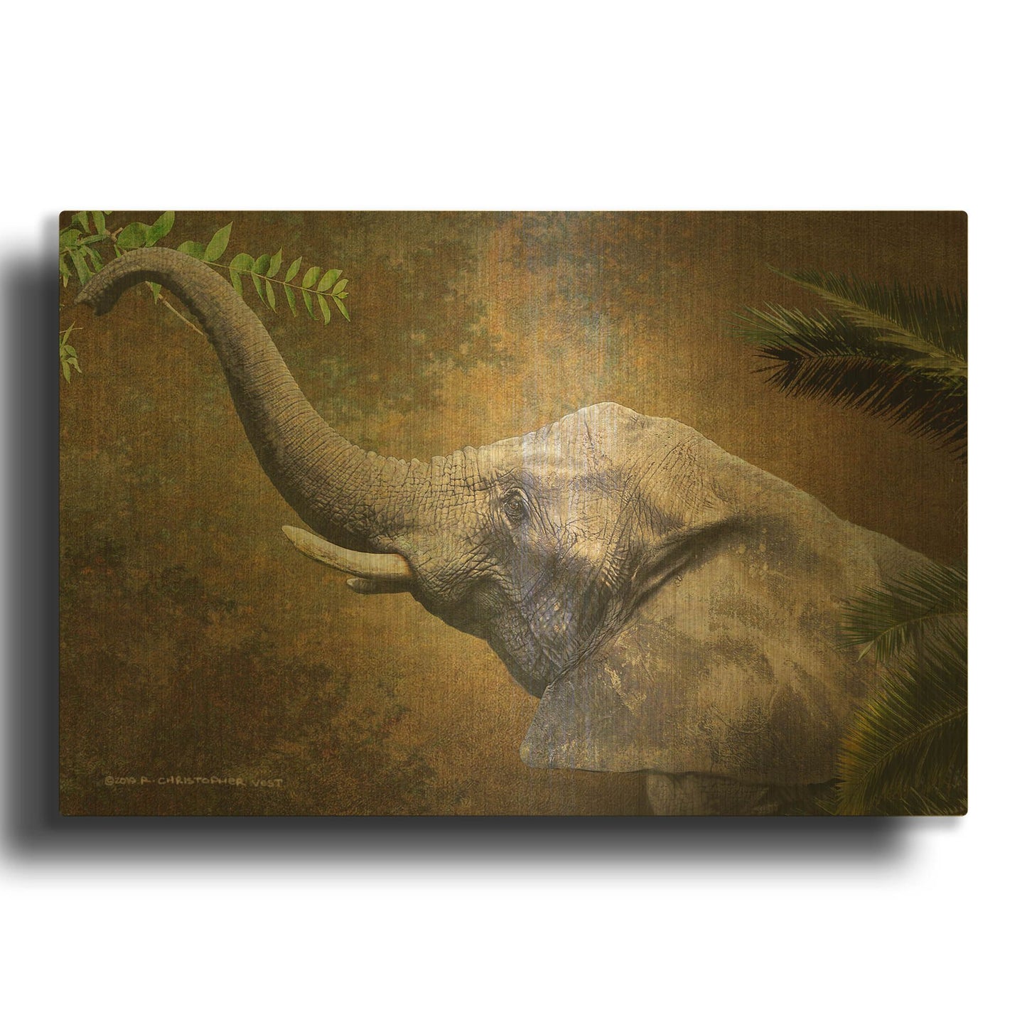 'Forest Elephant' By Chris Vest Gold Metal Wall Art