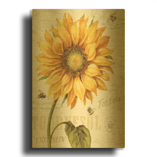 'Under The Sun I' By Lisa Audit Gold Metal Wall Art