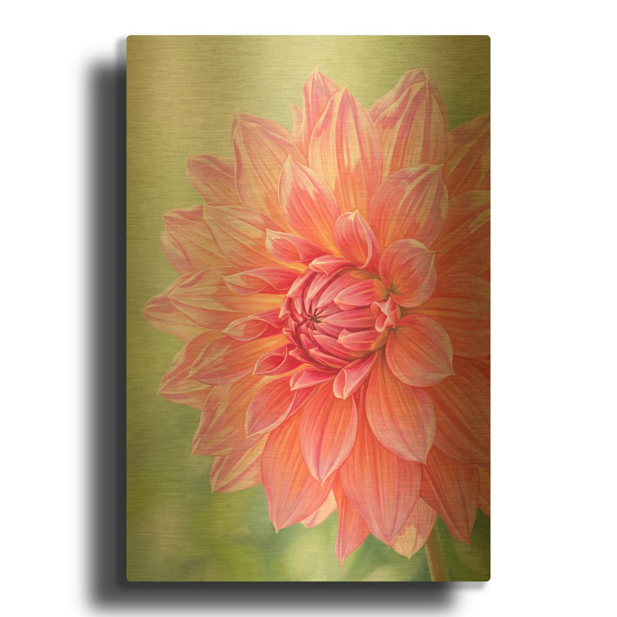 'Dahlia Fire Bloom' By Veve Gold Metal Wall Art