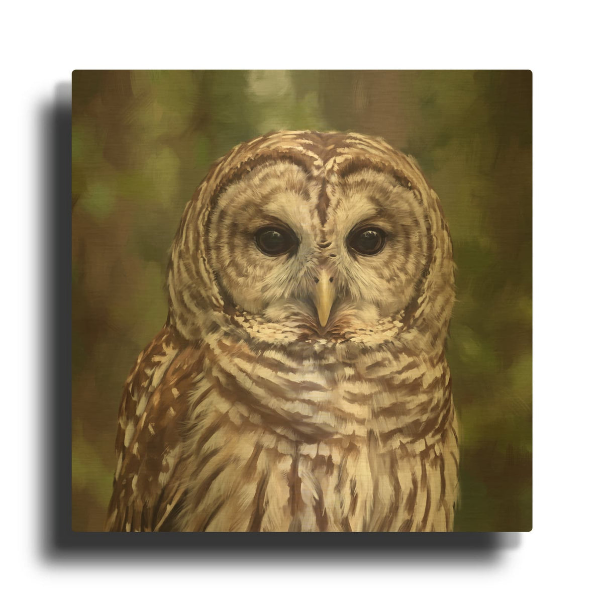 'Forest Stripes Barred Owl' By Veve Gold Metal Wall Art