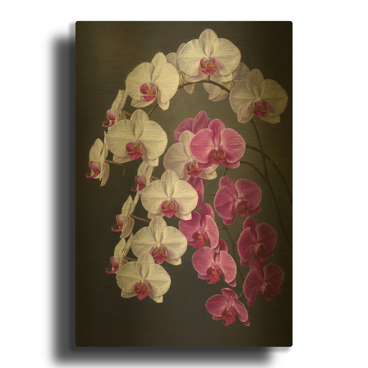 'Orchid Cascade Dream' By Veve Gold Metal Wall Art