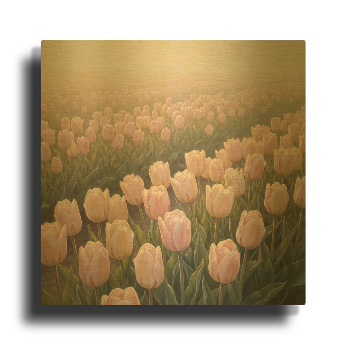 'Tulip Whisper Field' By Veve Gold Metal Wall Art