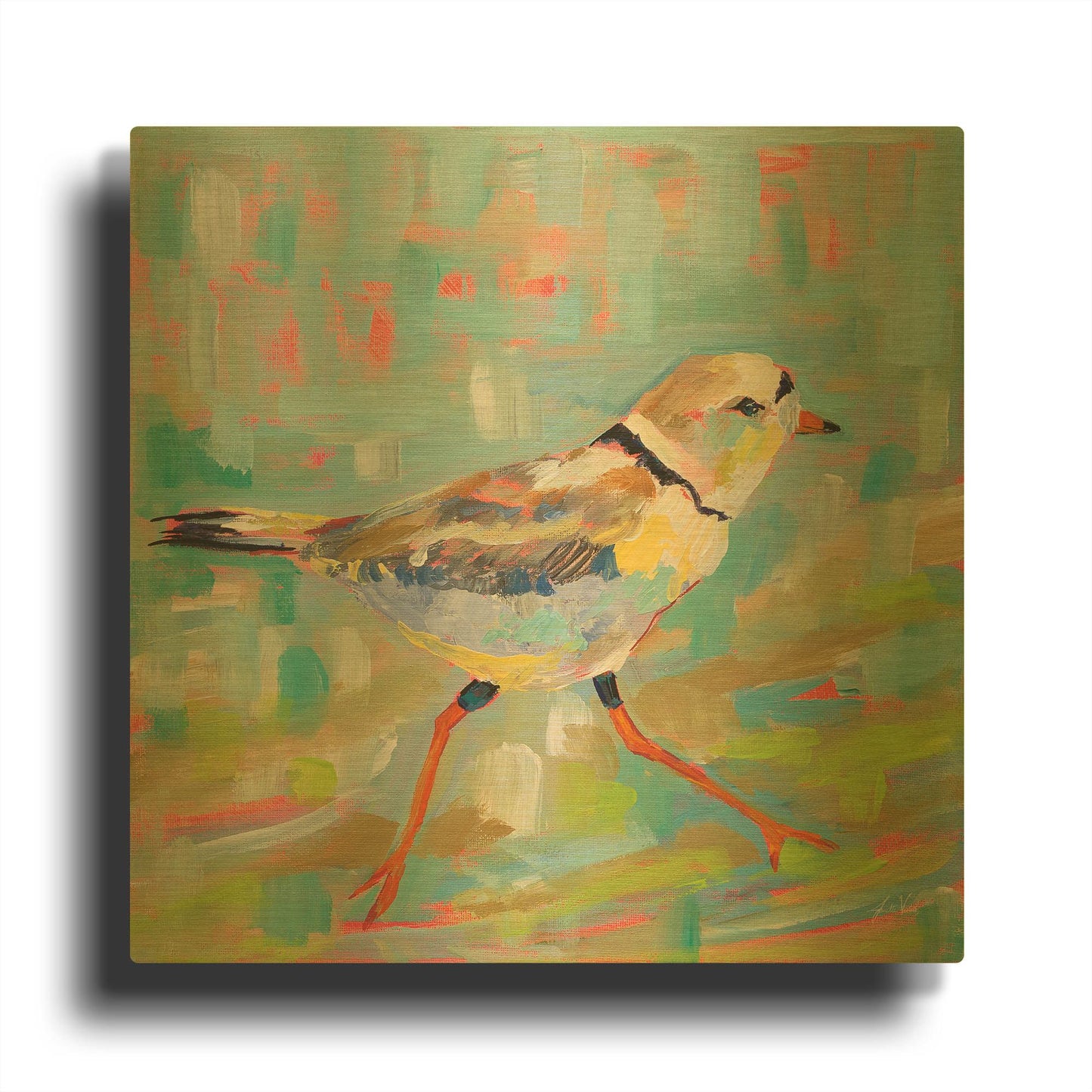 'Coastal Plover I' By Jeanette Vertentes Gold Metal Wall Art