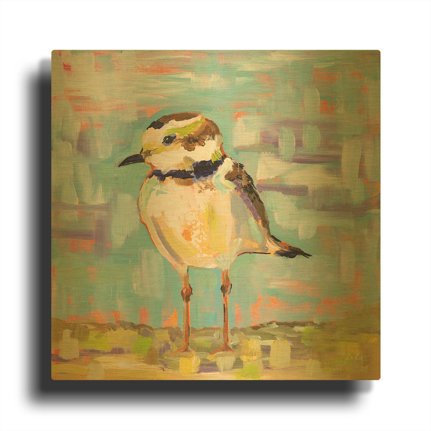 'Coastal Plover II' By Jeanette Vertentes Gold Metal Wall Art