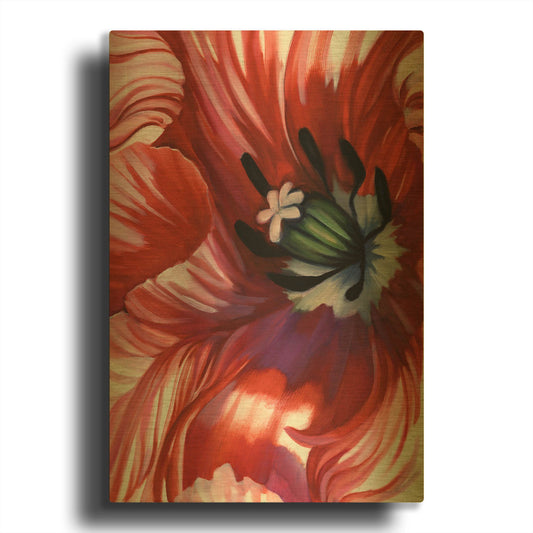 'Swashbuckler Poppy' By Louise Montillio Gold Metal Wall Art