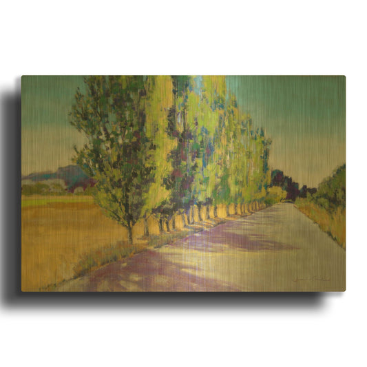 'Backlit Poplars Provence' By Jennifer Gardner Gold Metal Wall Art
