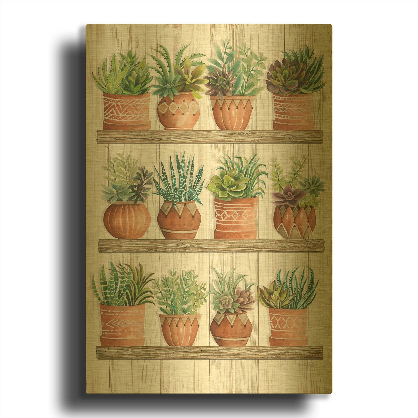 'Succulents on Shelves' By Cindy Jacobs Gold Metal Wall Art