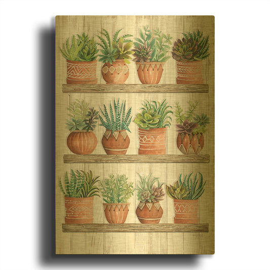 'Succulents on Shelves' By Cindy Jacobs Gold Metal Wall Art