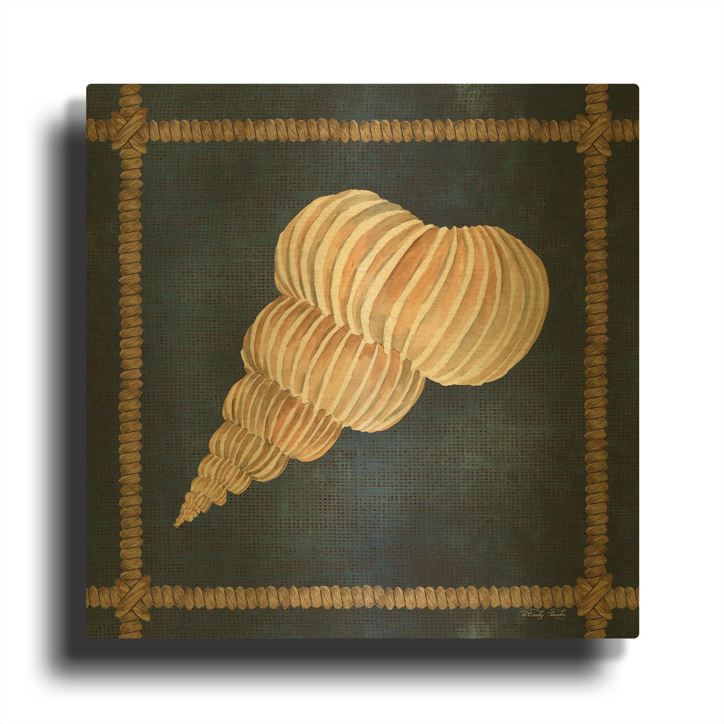 'Seashell on Navy III' By Cindy Jacobs Gold Metal Wall Art
