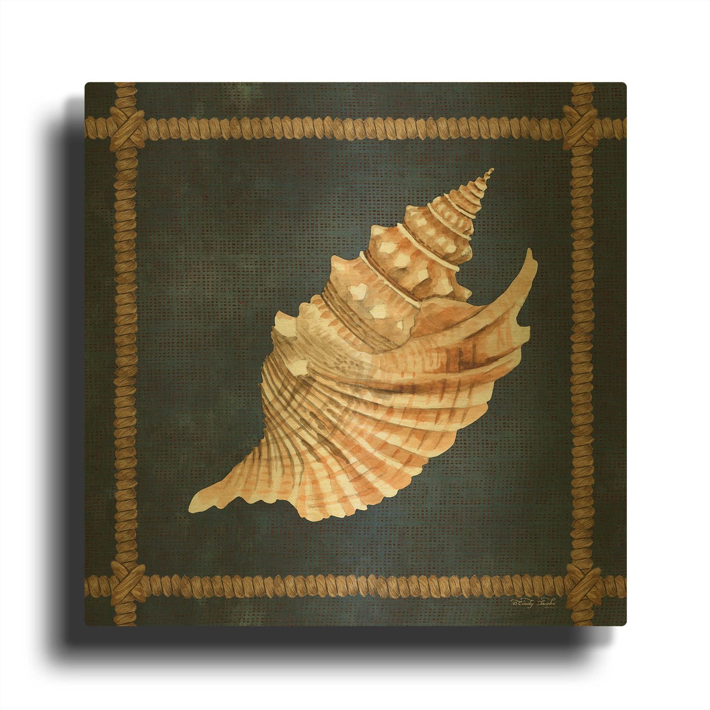 'Seashell on Navy V' By Cindy Jacobs Gold Metal Wall Art