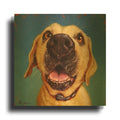'Follow Your Nose 2' By Lucia Heffernan Gold Metal Wall Art