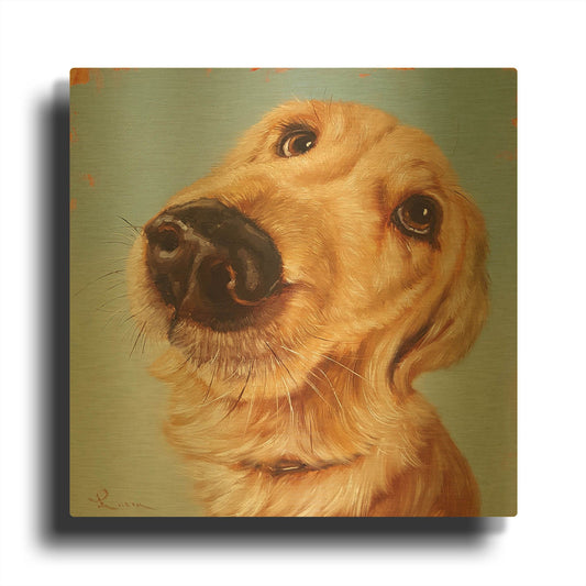 'Follow Your Nose 4' By Lucia Heffernan Gold Metal Wall Art