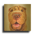'Follow Your Nose 6' By Lucia Heffernan Gold Metal Wall Art