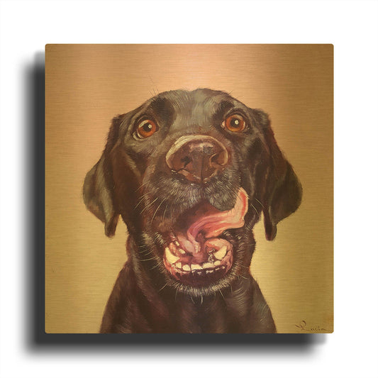 'Follow Your Nose 7' By Lucia Heffernan Gold Metal Wall Art