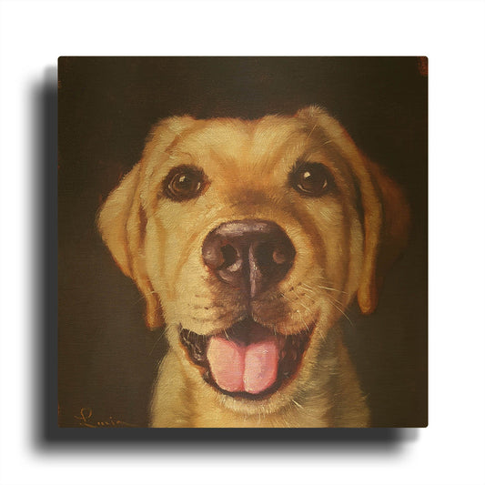 'Follow Your Nose 13' By Lucia Heffernan Gold Metal Wall Art