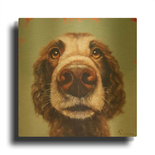 'Follow Your Nose 14' By Lucia Heffernan Gold Metal Wall Art