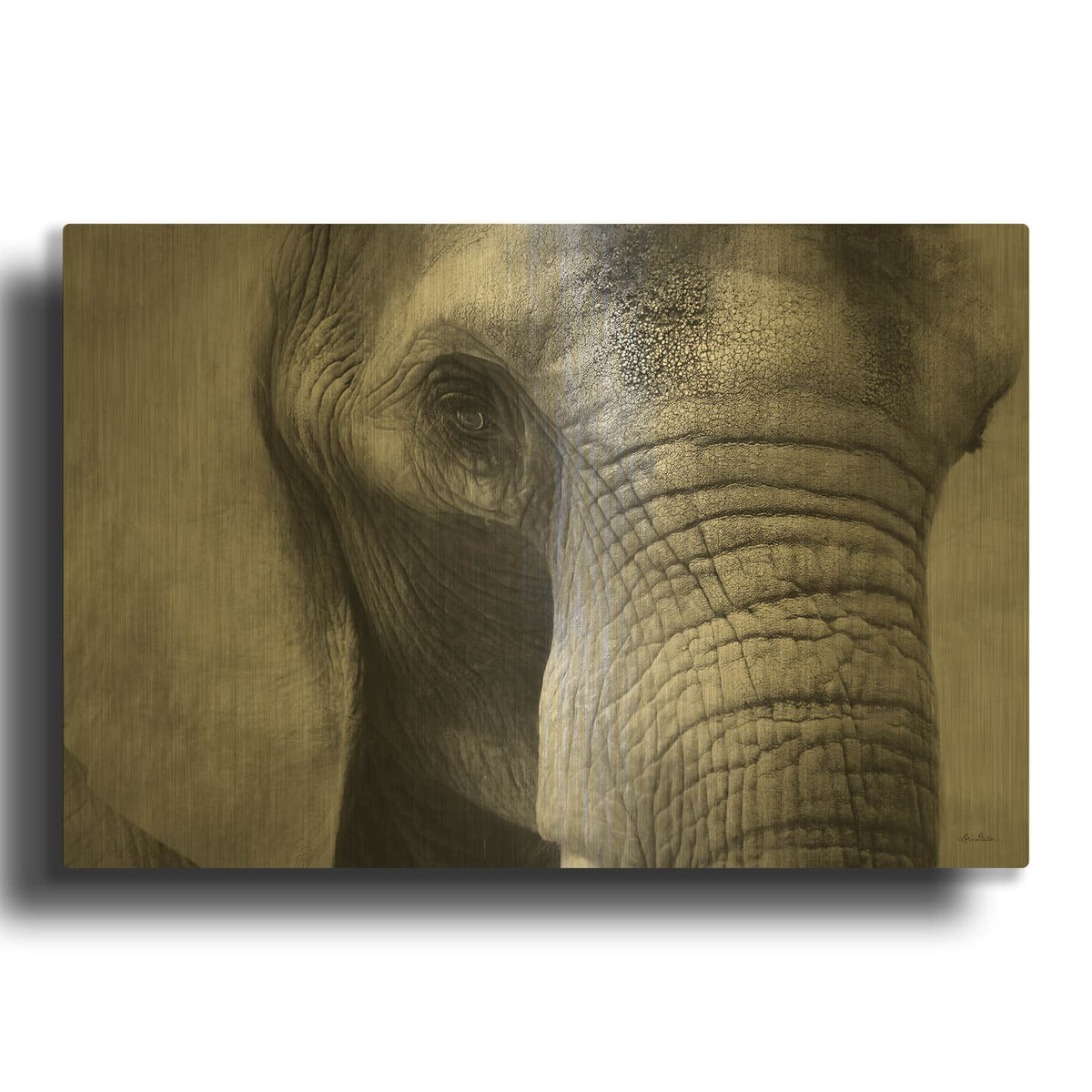 'Elephant' By Lori Deiter Gold Metal Wall Art