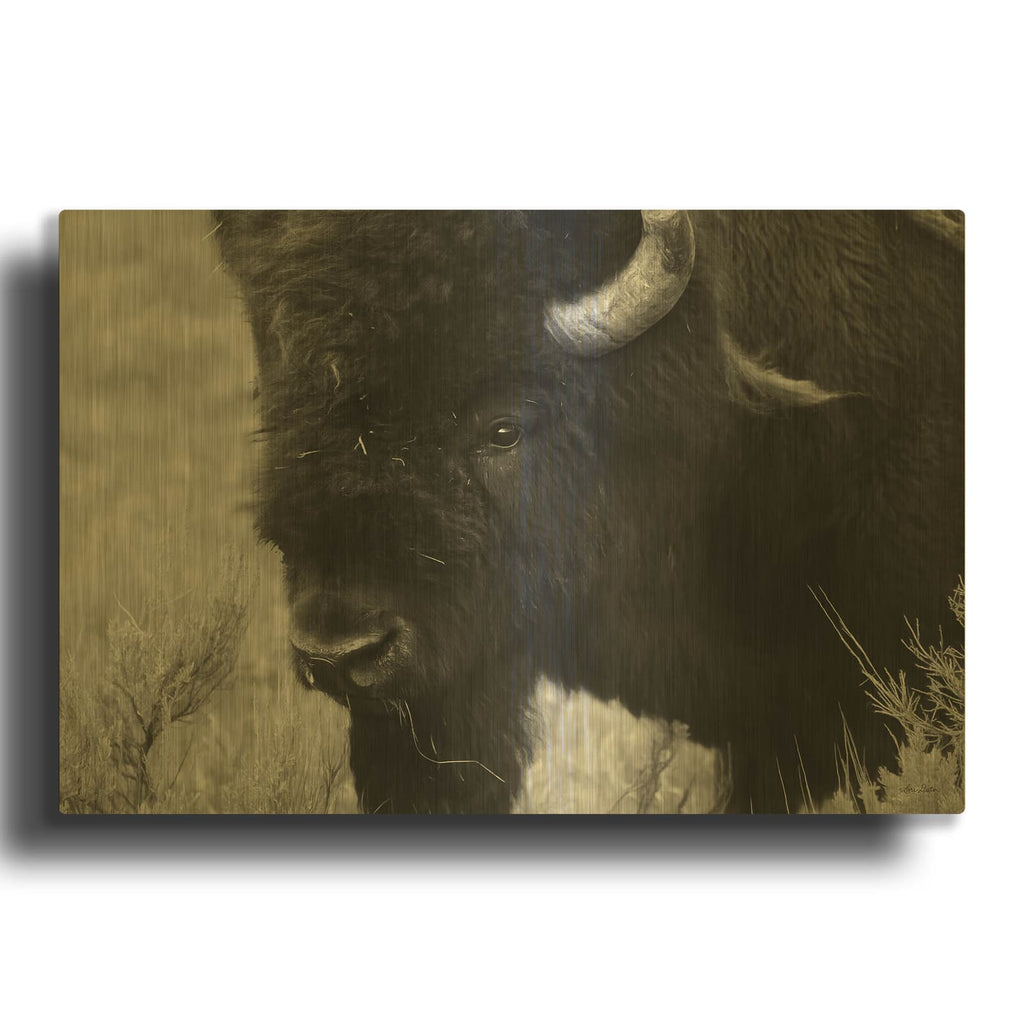 'Yellowstone Bison' By Lori Deiter Gold Metal Wall Art