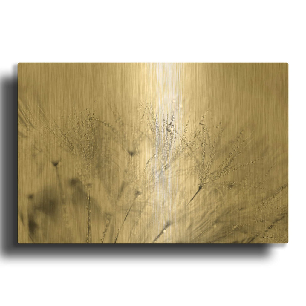 'Dandelion Jewels II' By Lori Deiter Gold Metal Wall Art
