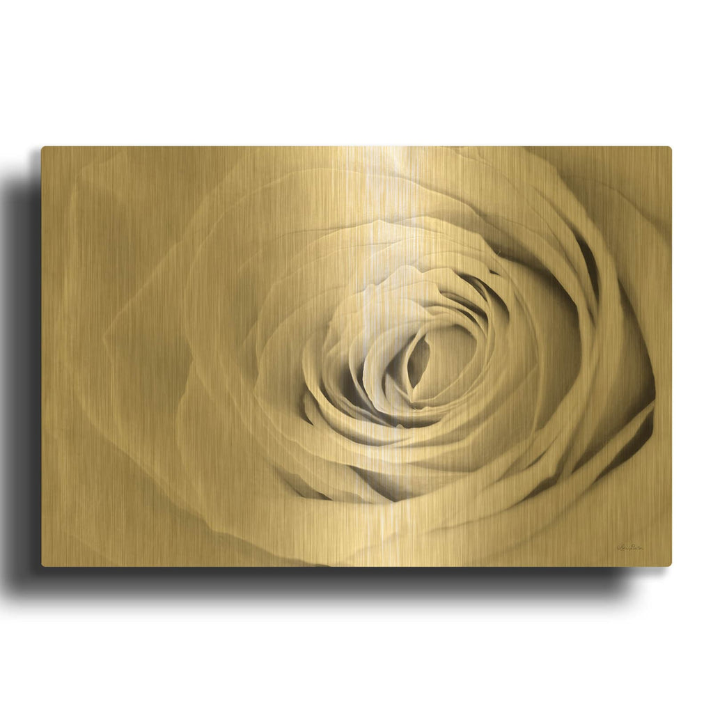 'Cream Rose' By Lori Deiter Gold Metal Wall Art