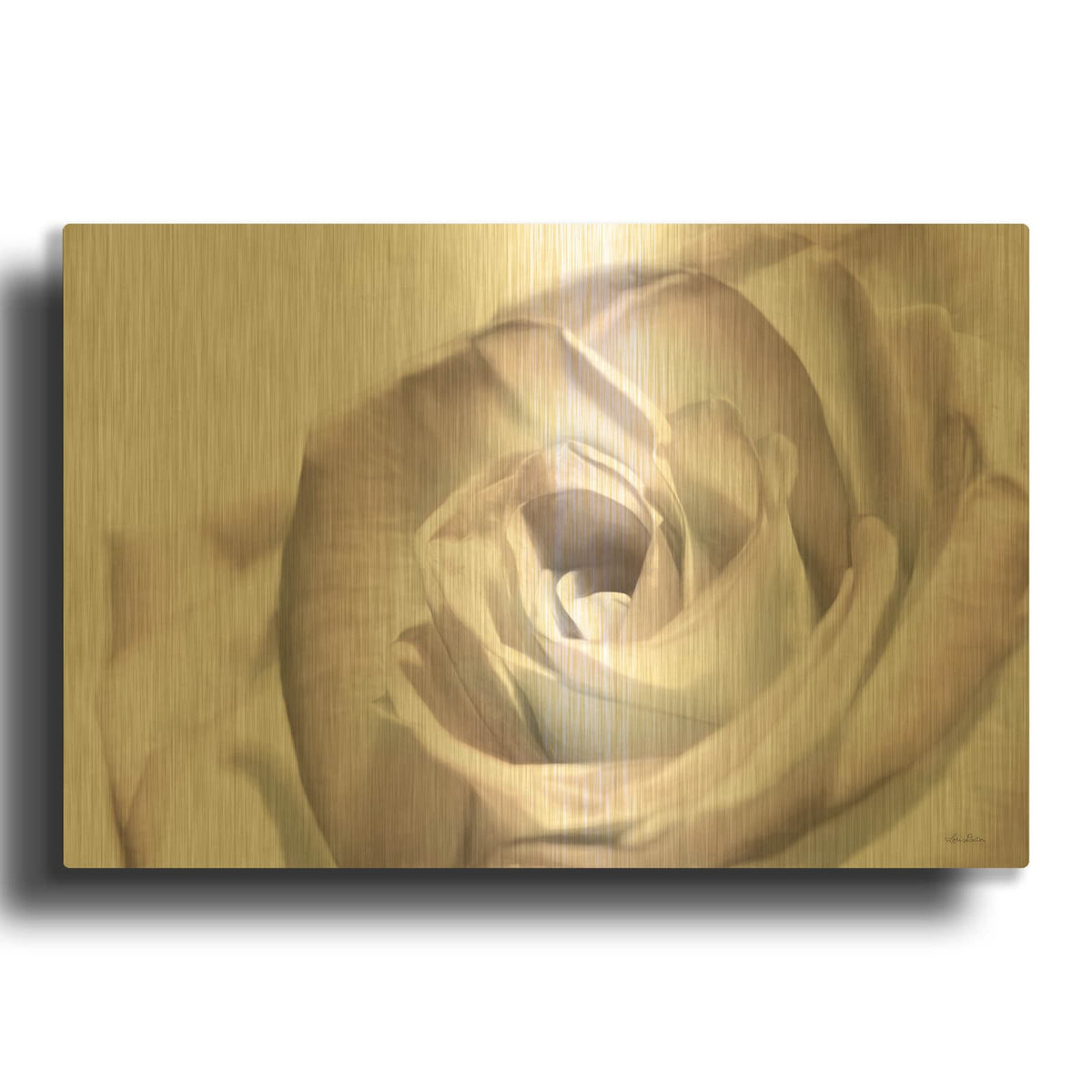 'Blush Rose I' By Lori Deiter Gold Metal Wall Art