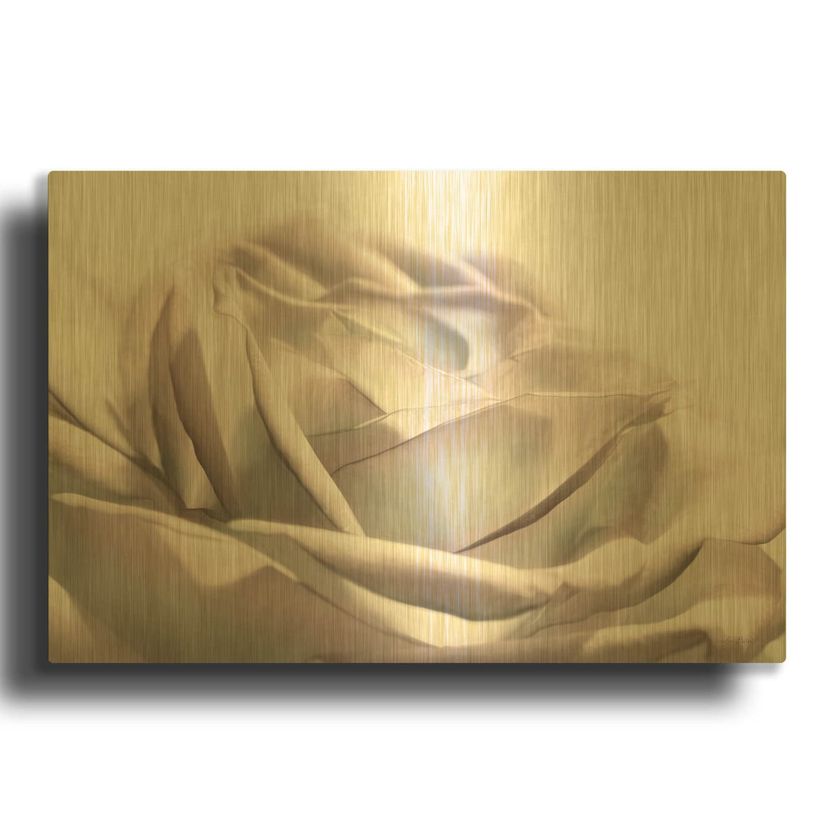 'Blush Rose II' By Lori Deiter Gold Metal Wall Art