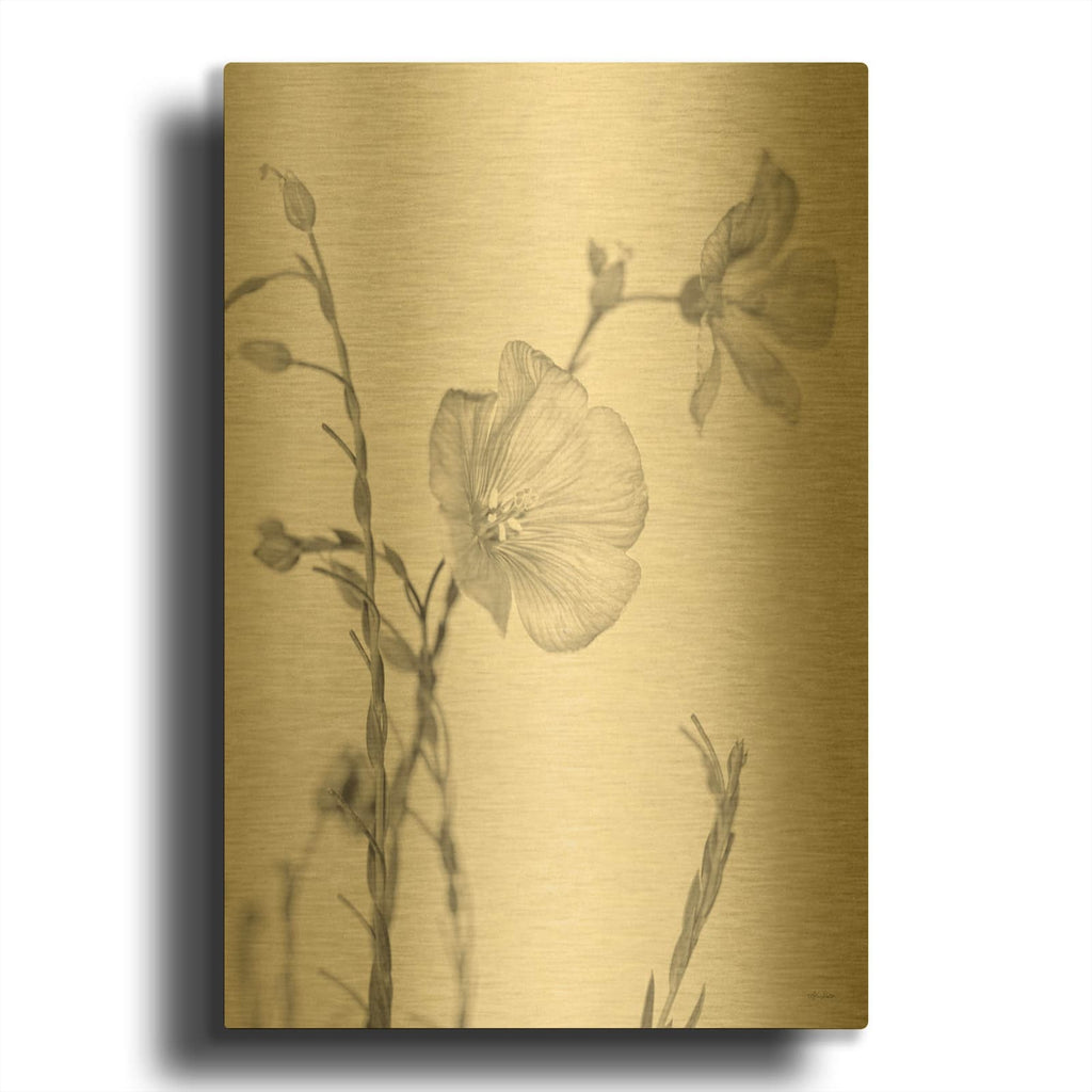 'Faded Flower II' By Lori Deiter Gold Metal Wall Art