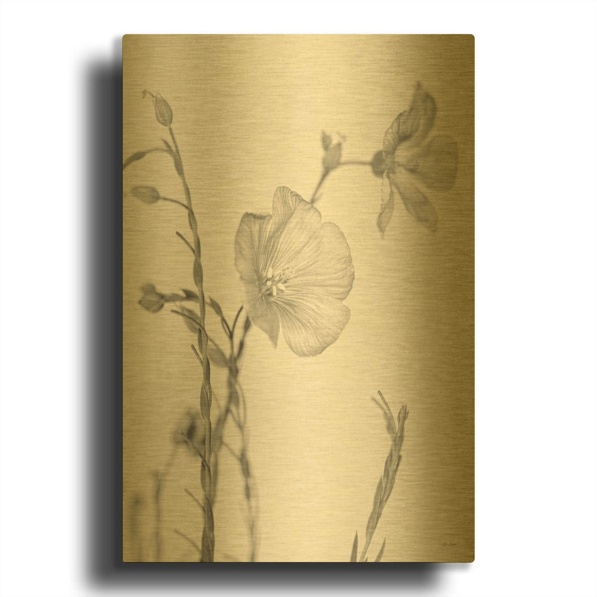 'Faded Flower II' By Lori Deiter Gold Metal Wall Art