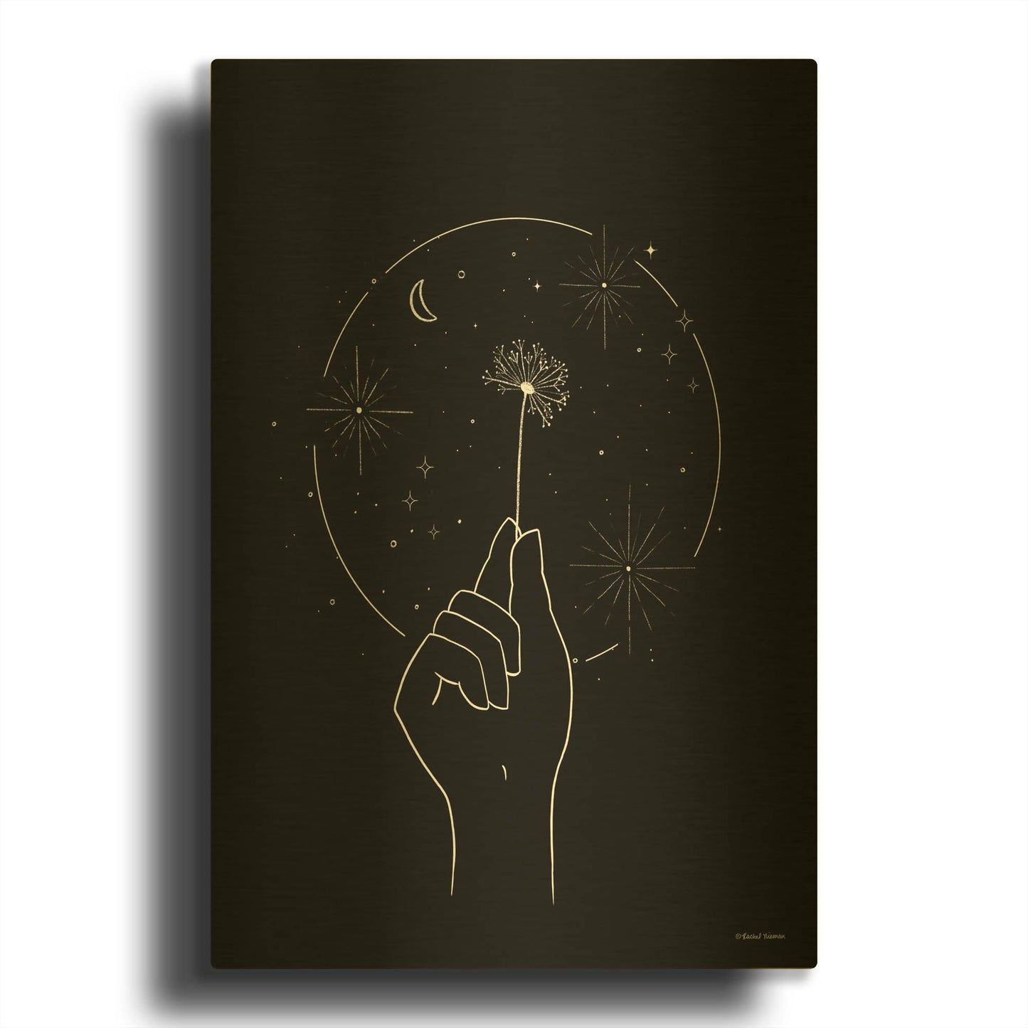 'Space Dandelion' By Rachel Nieman Gold Metal Wall Art