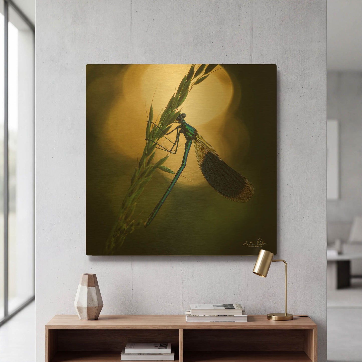 'Damselfly in Backlight' By Martin Podt Gold Metal Wall Art