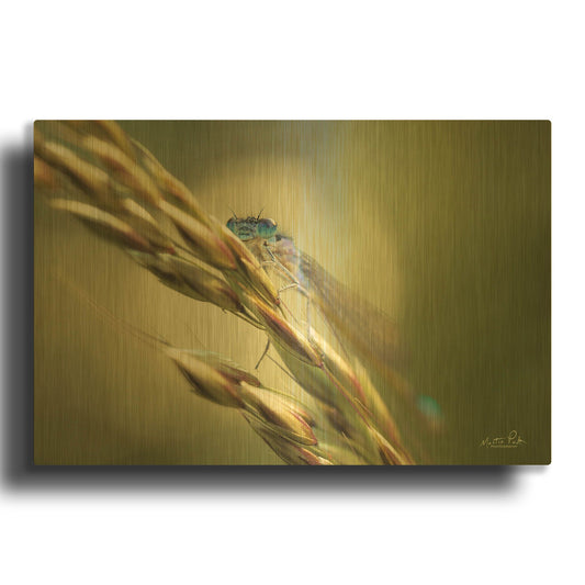 'Damselfly' By Martin Podt Gold Metal Wall Art
