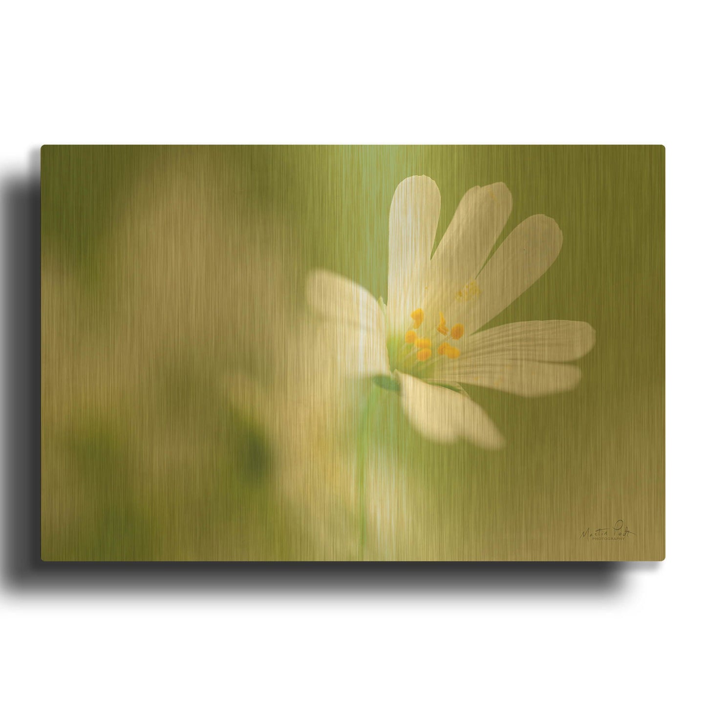 'Stellaria Holostea' By Martin Podt Gold Metal Wall Art