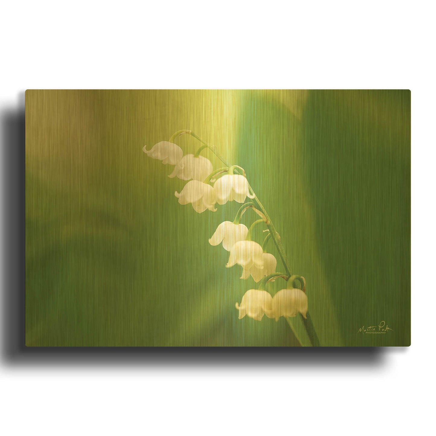 'Lily of the Valley' By Martin Podt Gold Metal Wall Art
