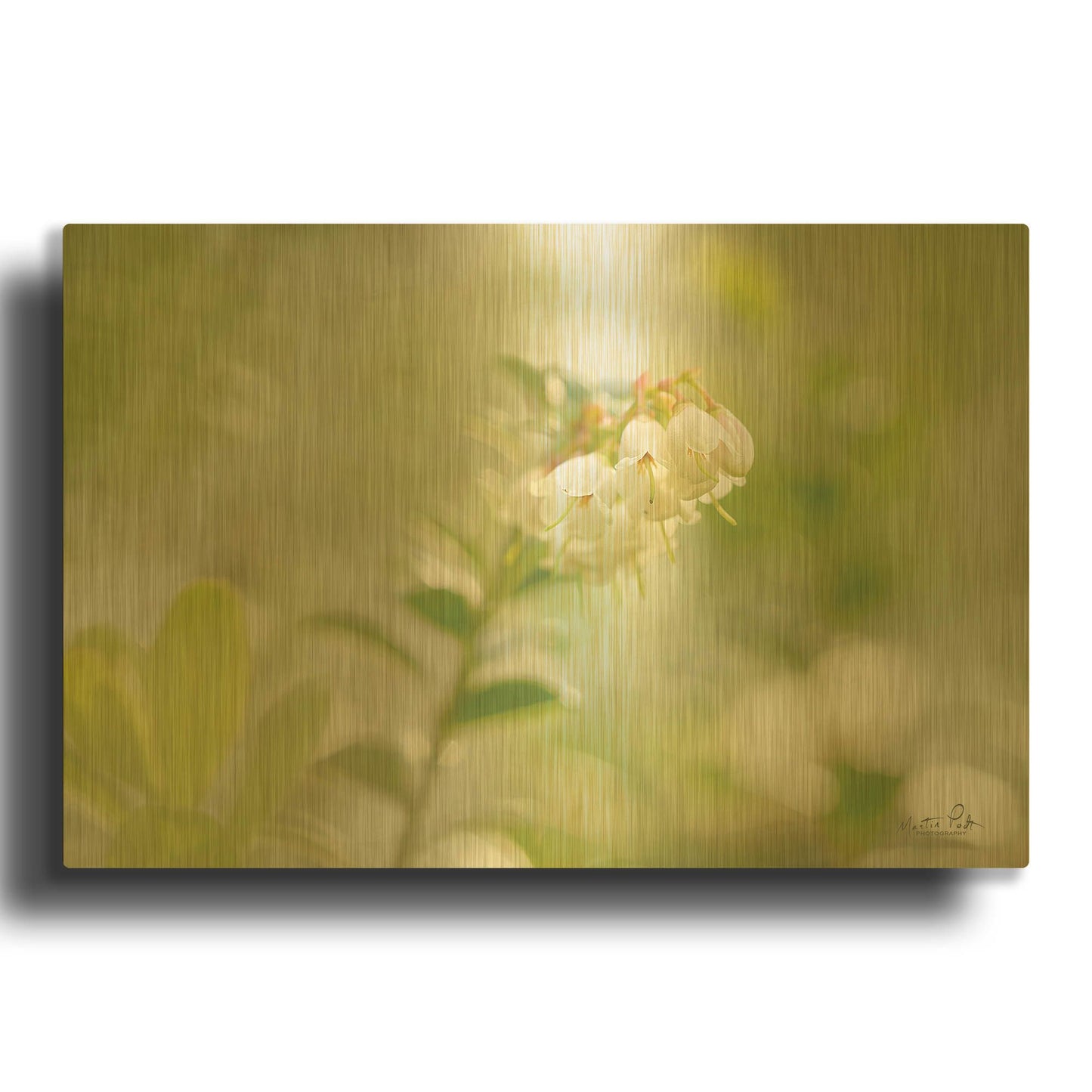'Lingonberry' By Martin Podt Gold Metal Wall Art