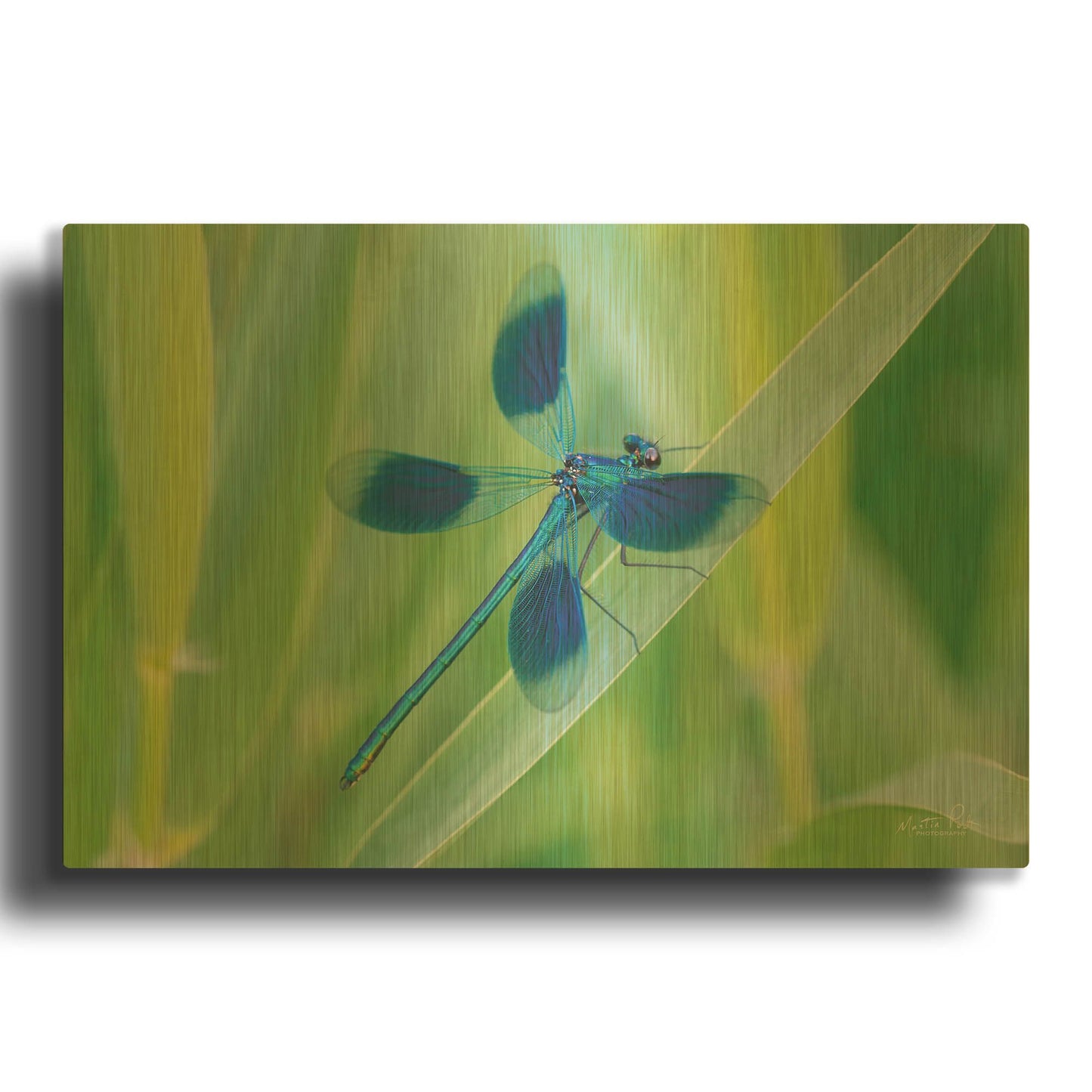 'Damselfly in Blue' By Martin Podt Gold Metal Wall Art