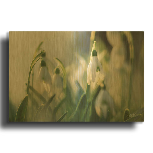 'Snowdrops' By Martin Podt Gold Metal Wall Art