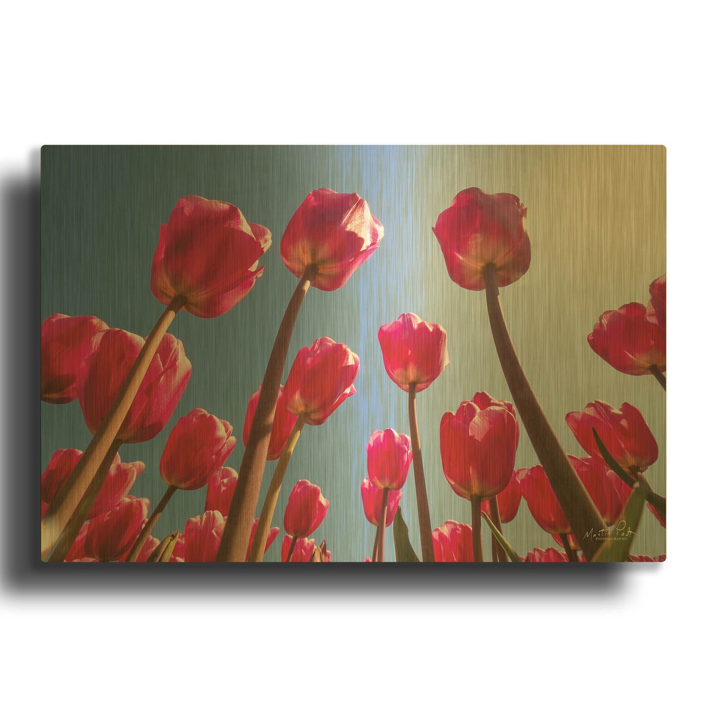 'Look Up in Pink' By Martin Podt Gold Metal Wall Art