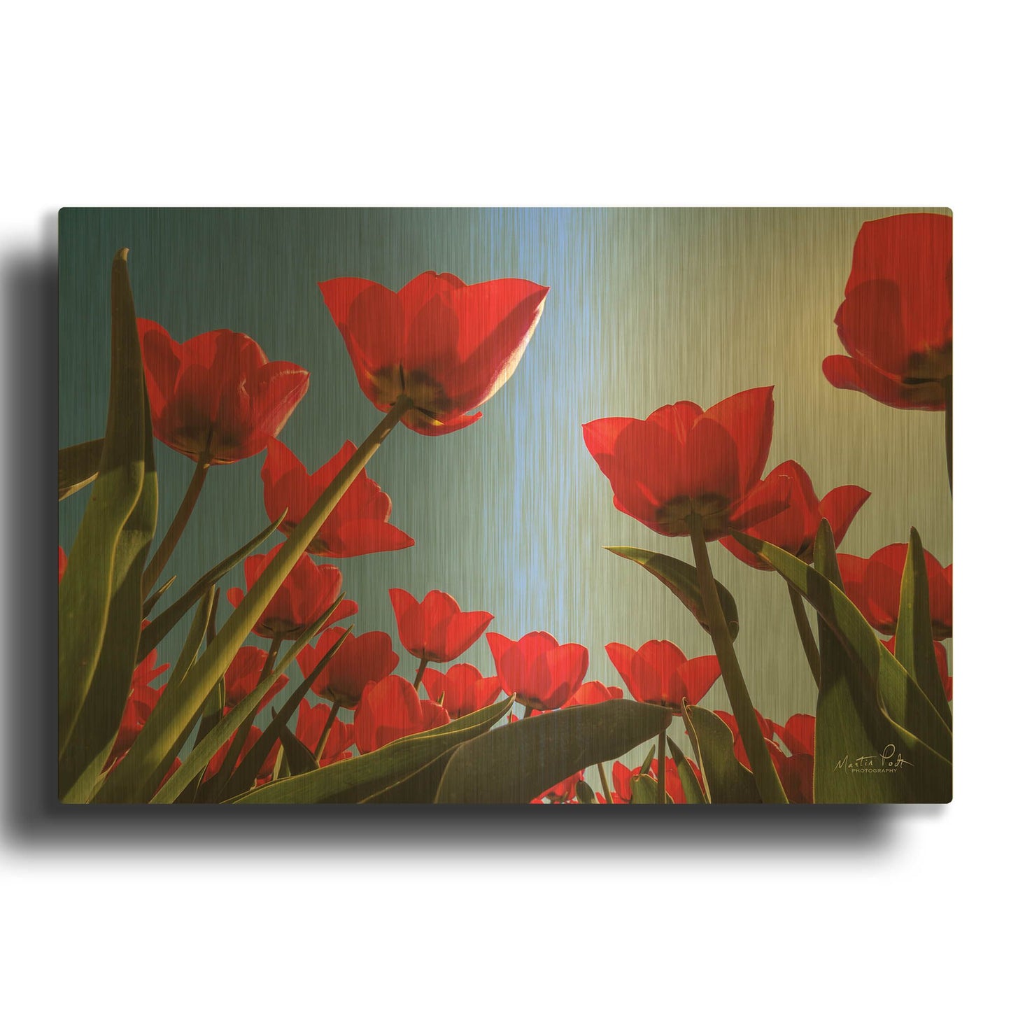 'Look Up in Red' By Martin Podt Gold Metal Wall Art