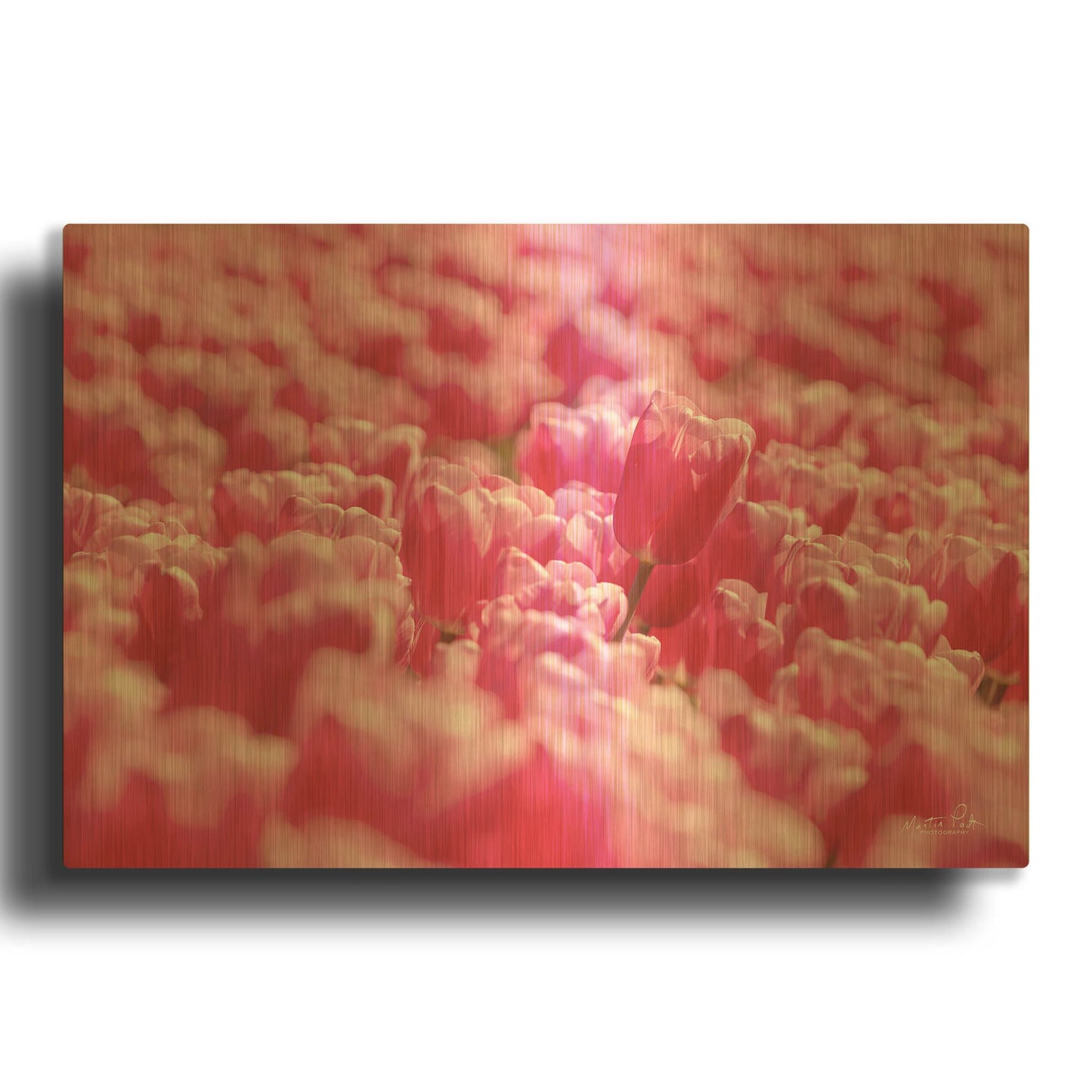 'Pink Field' By Martin Podt Gold Metal Wall Art