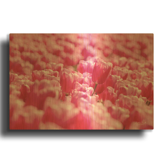 'Pink Field' By Martin Podt Gold Metal Wall Art